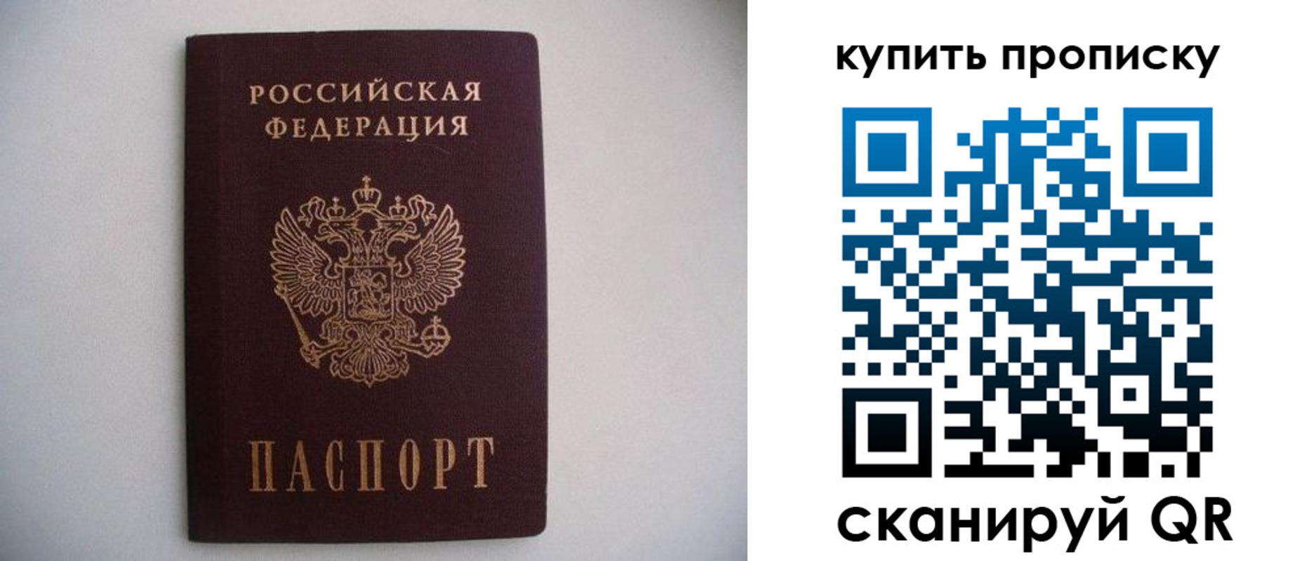 прописка ребенка в Дмитрове